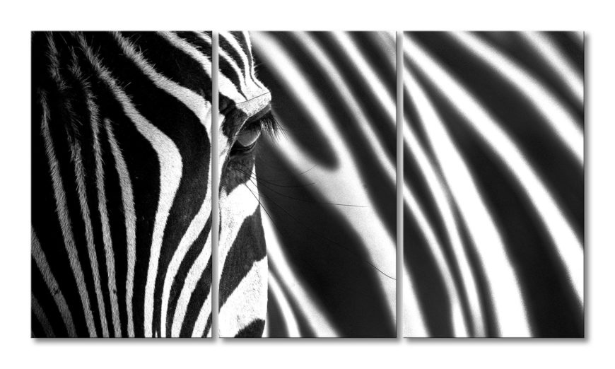 Das Leinwandbild "Animal Stripes"  - 180x100cm