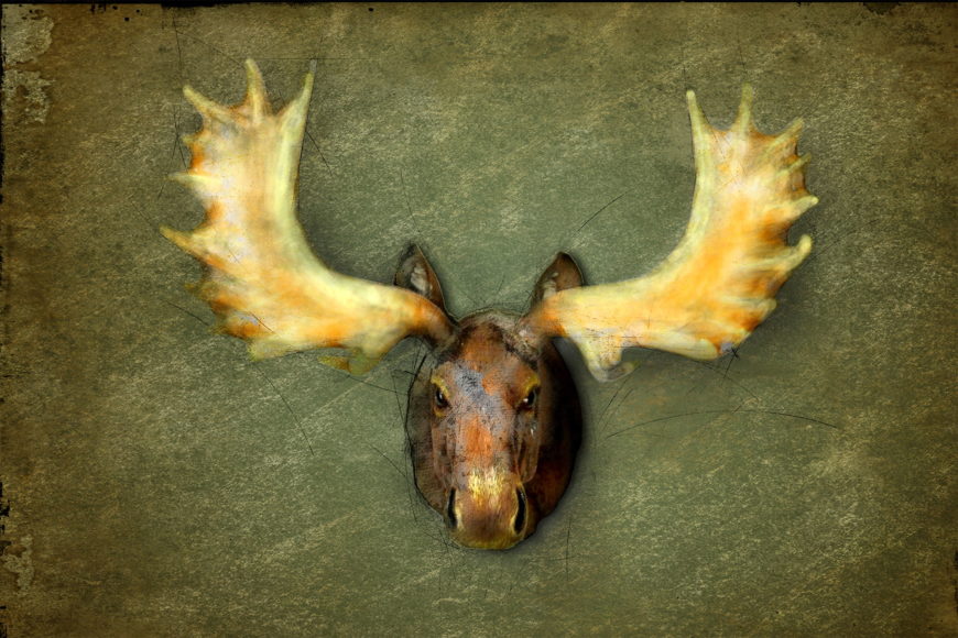 Unser Vliestapete "The Elk"