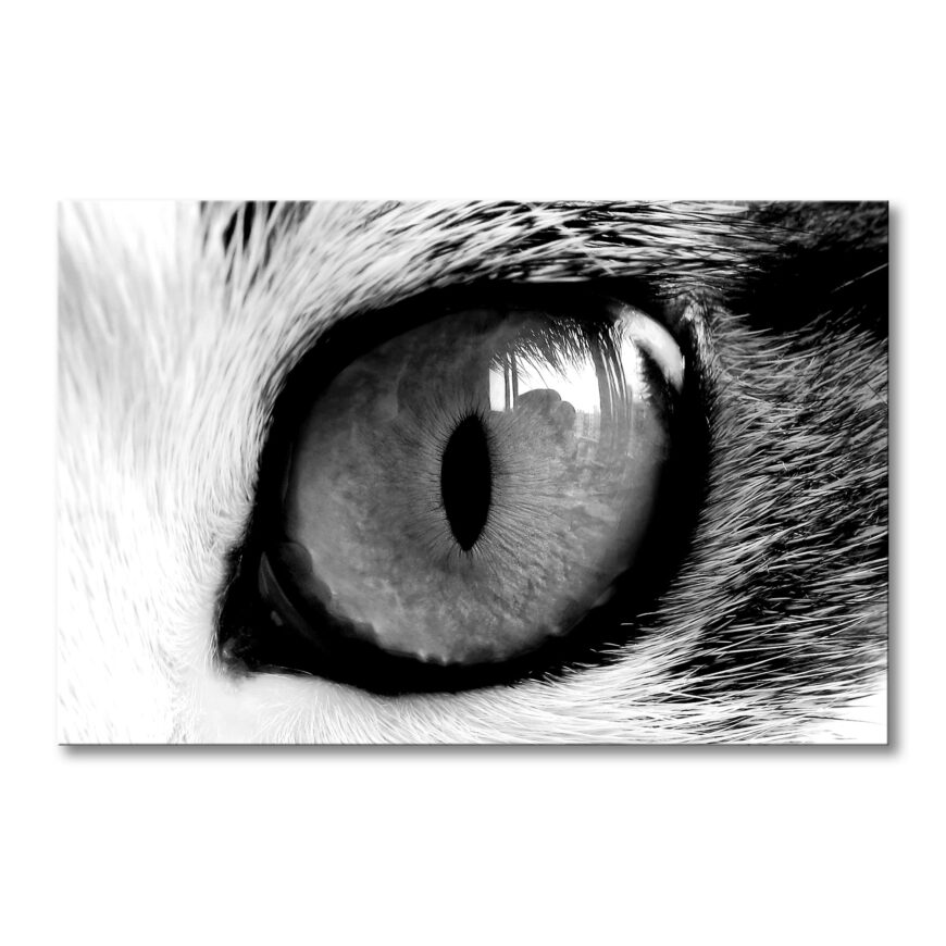 Das Leinwandbild Cats Eye - Schwarz-Weiß